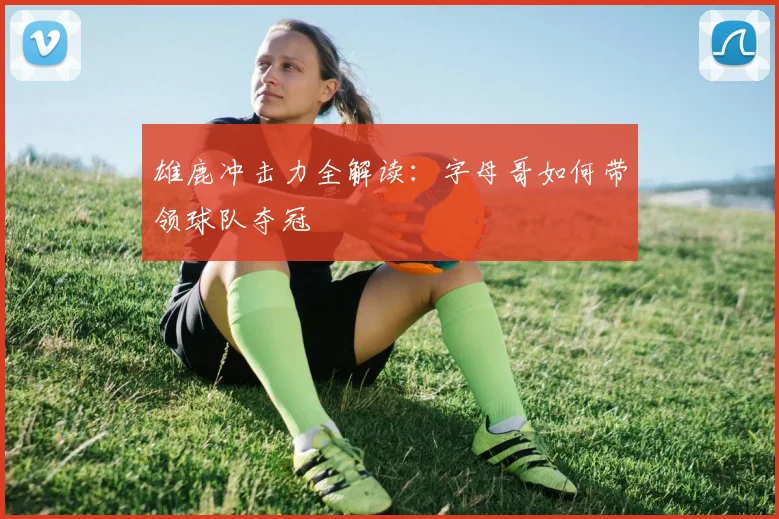 雄鹿冲击力全解读：字母哥如何带领球队夺冠